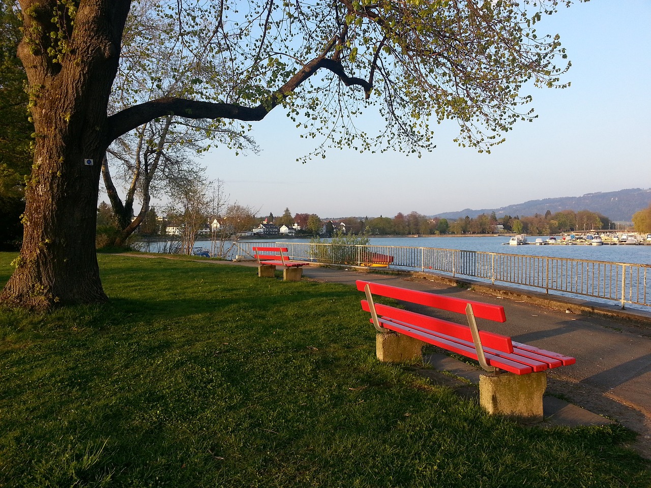 据揭示了曼 据揭示了曼