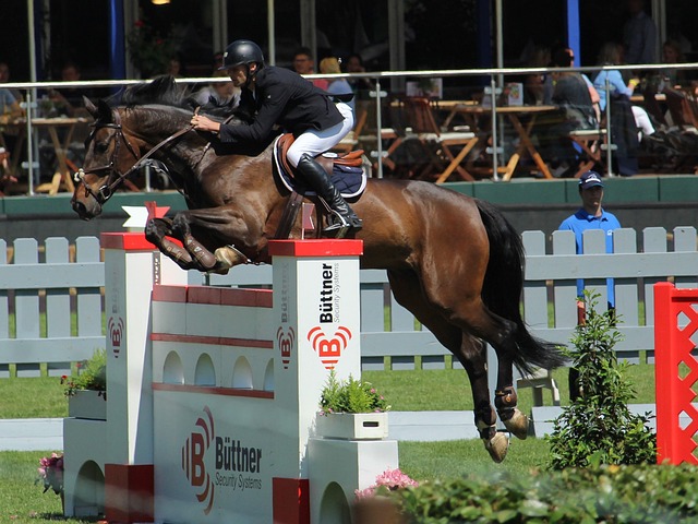 更是为广州 更是为广州