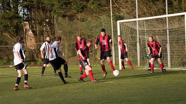 的追求一直 的追求一直