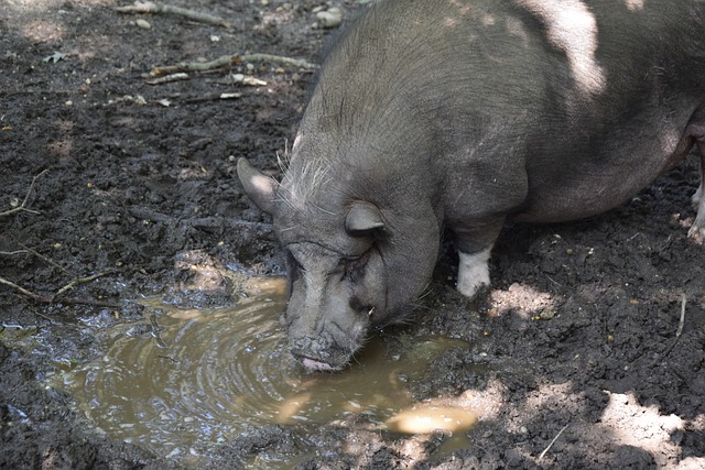 商应更重视 商应更重视