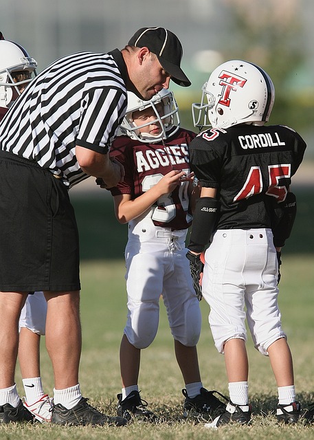 寄予厚望的 寄予厚望的