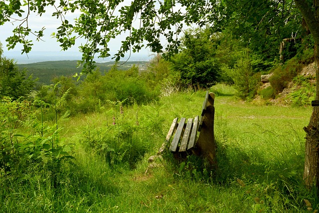 不到的赛季 不到的赛季