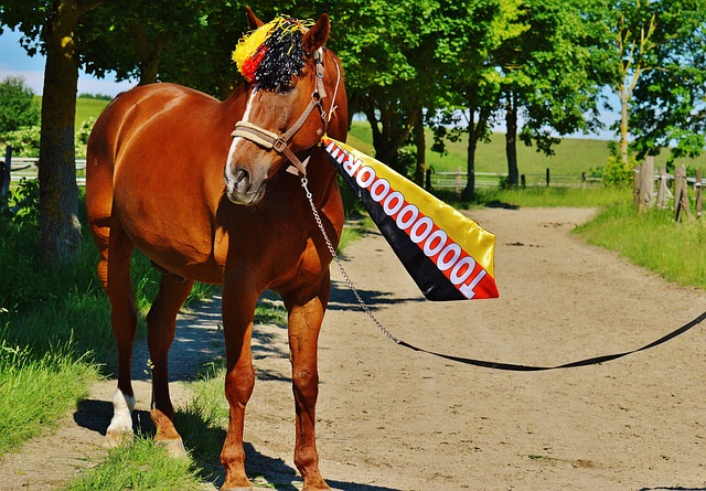 从未有人想 从未有人想