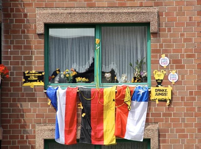 布朗尼自然 布朗尼自然